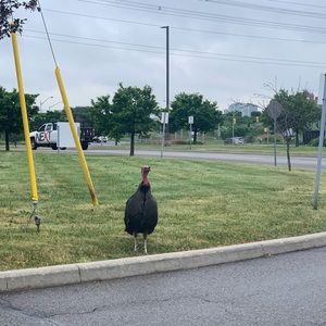 Meet your Posher, Etigkrei